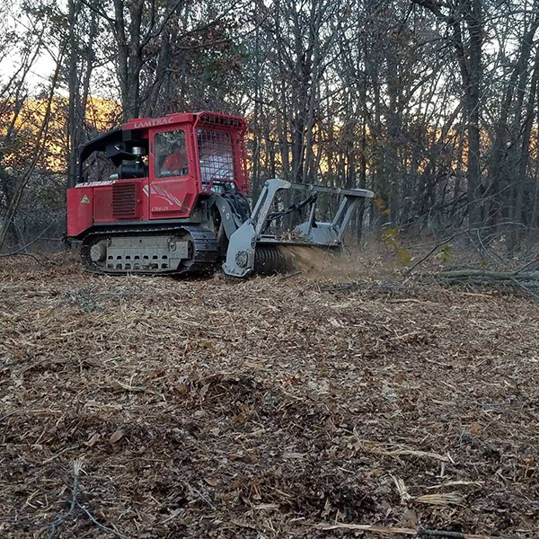 tree mulching