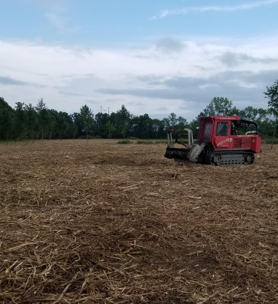 After mulching