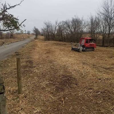 After mulching