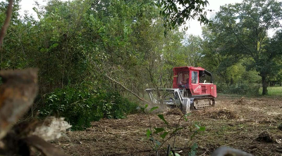 During mulching