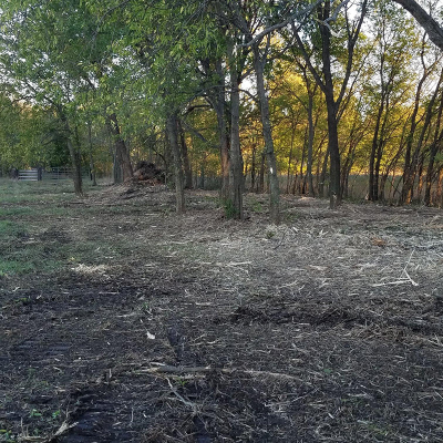 After mulching