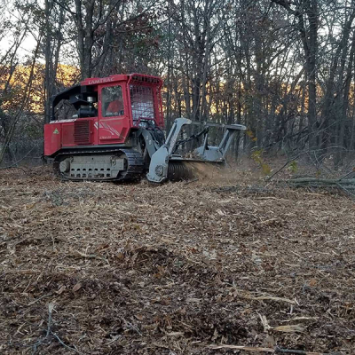 After mulching