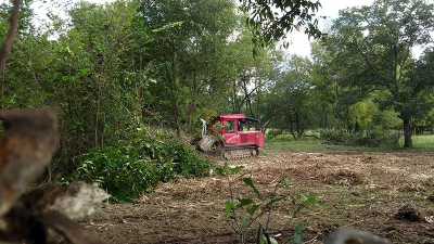 During mulching