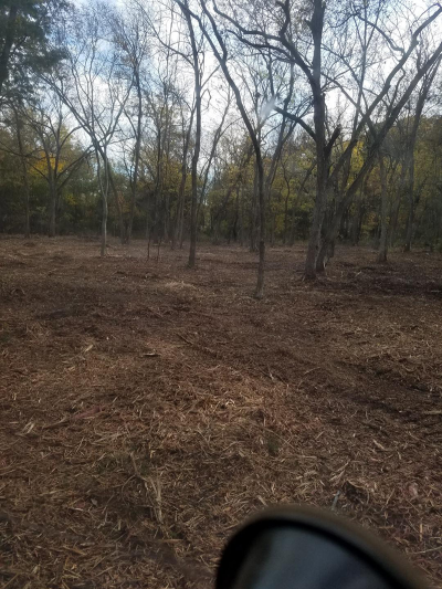 After mulching